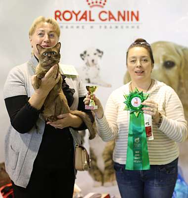   18-19  2014 WCF- 8-161-169A4019 copy.jpg
